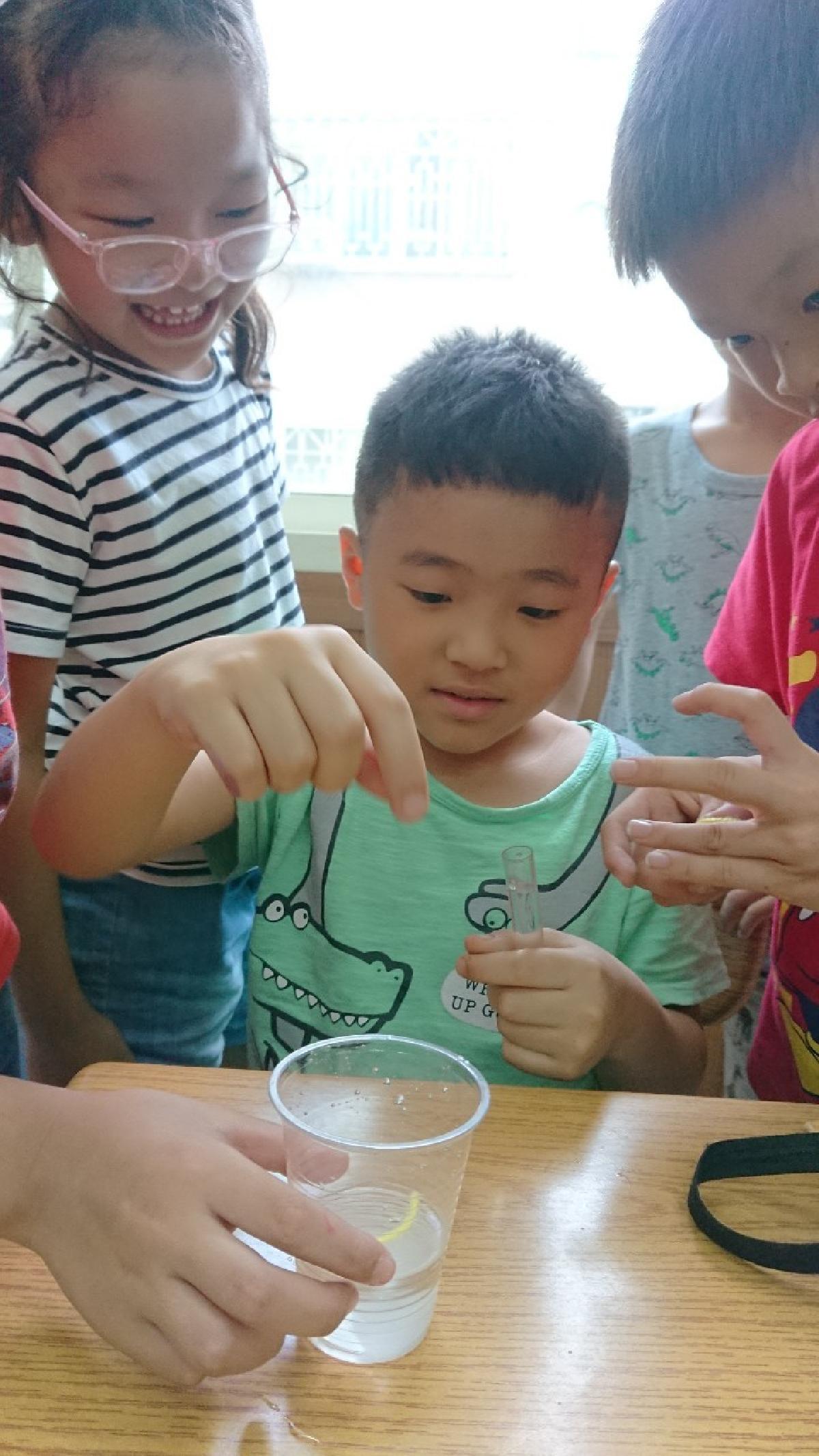 20200819科學小實驗～美麗的結晶（毛細現象）_200820_4