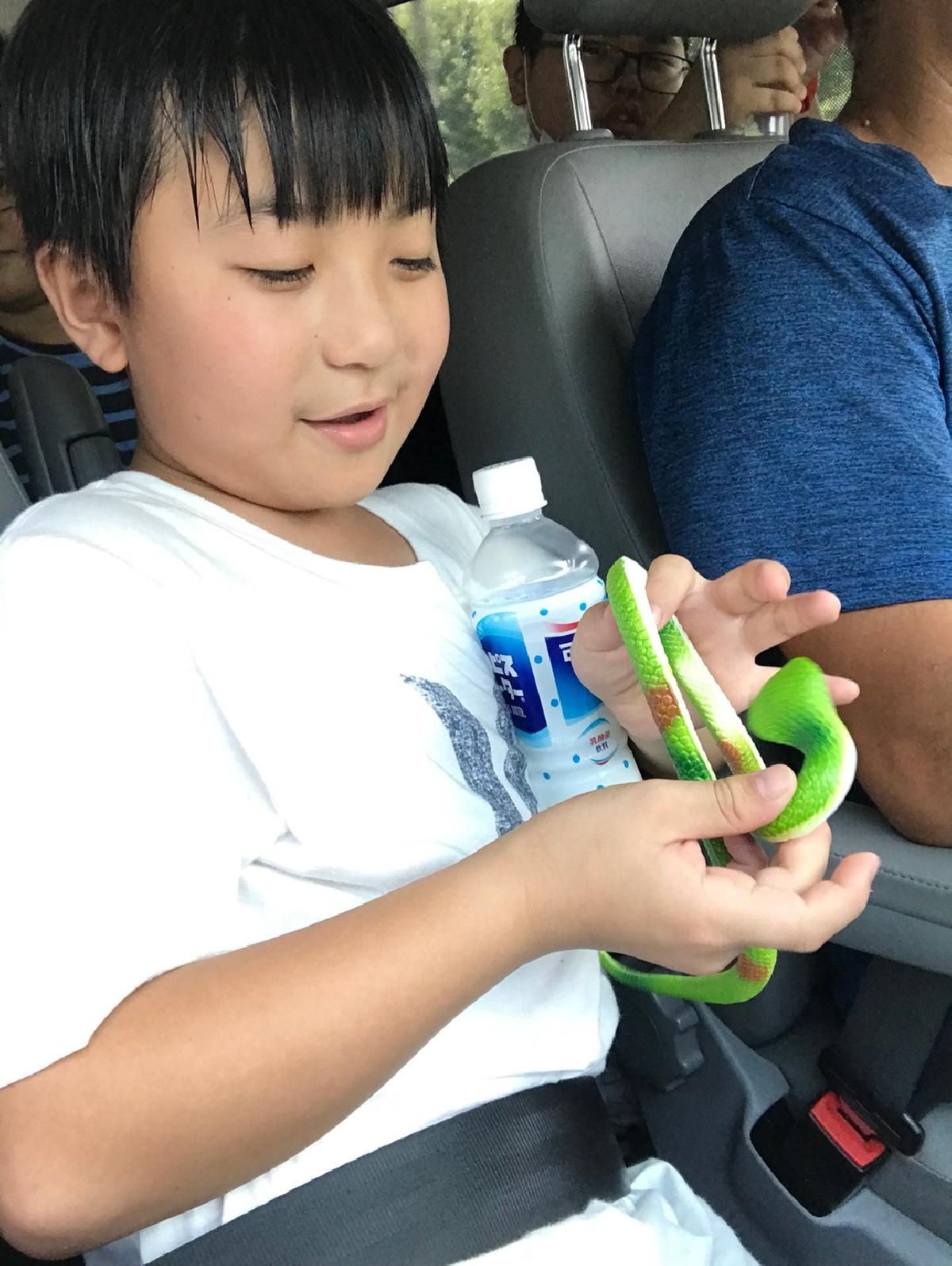 羅班半日遊_200826_1