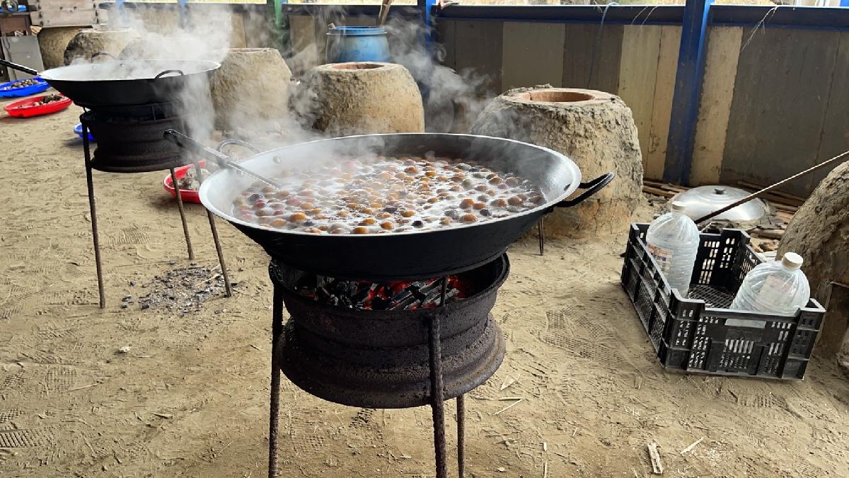 深度遊好望角➕控窯_210204_3