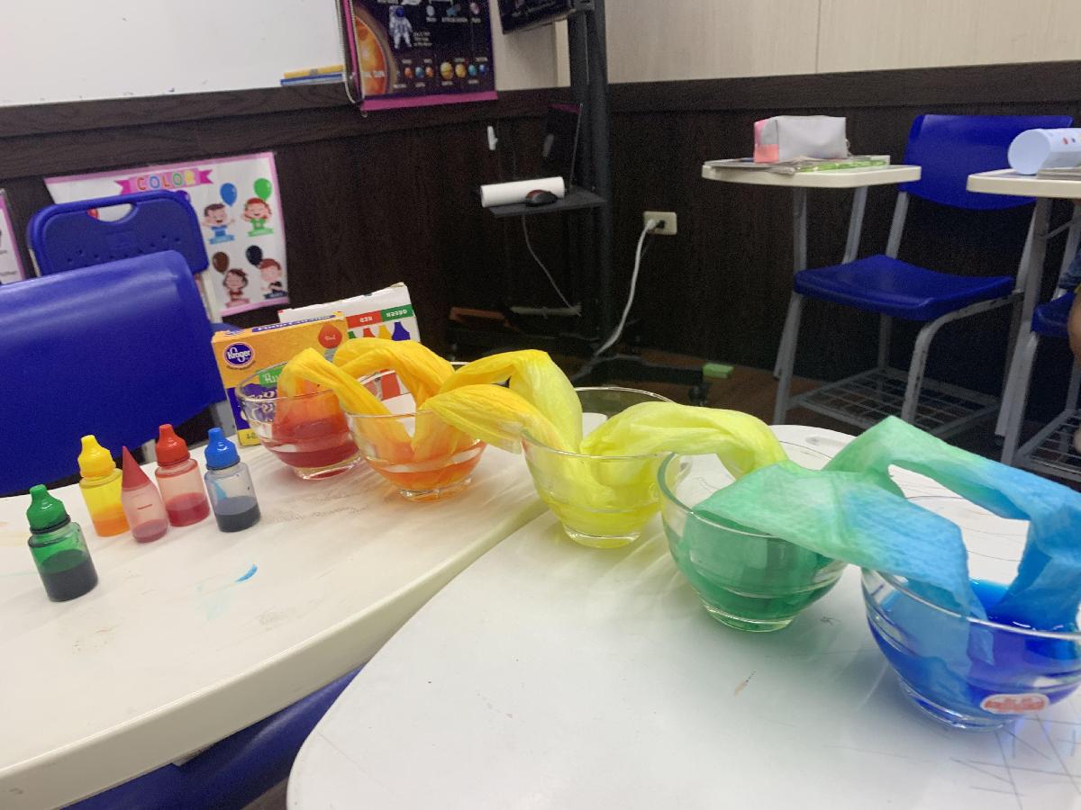 9ae7b259-c999-4ce2-a461-db6c961bb477