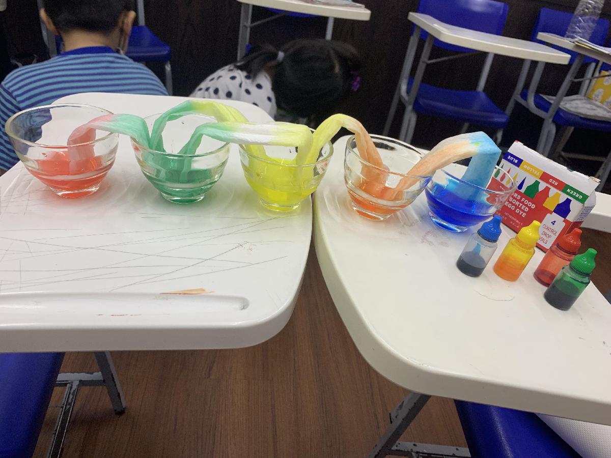 9cd5bfc9-6716-4c13-8538-a488647edda8