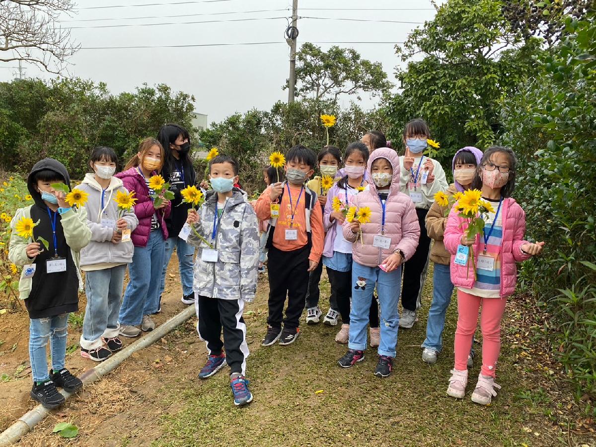 0line_album_青林農場_24021626