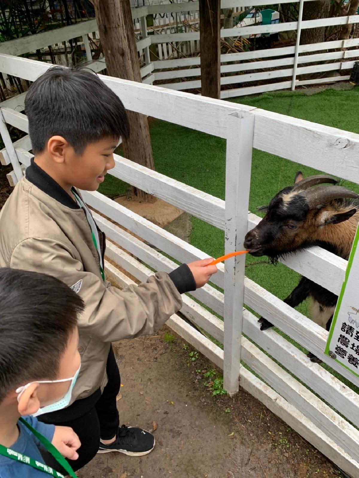 line_album_青林農場快樂行_2402164