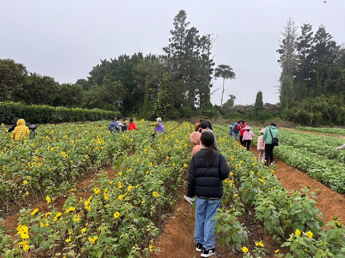 line_album_青林農場快樂行_24021619